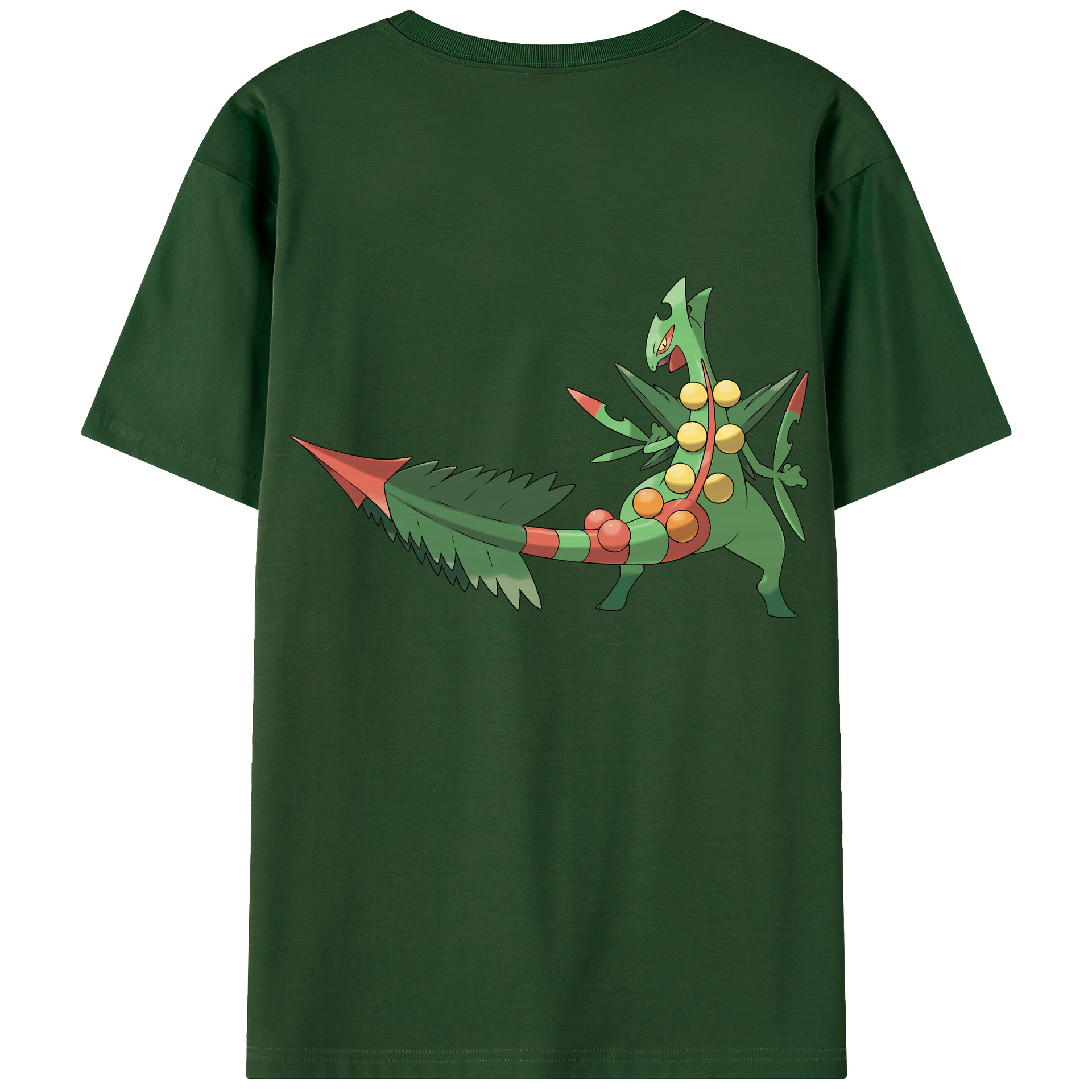 （画像用） ポケットモンスター Pokémon 綿100％半袖Tシャツ（背面プリント）